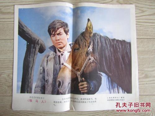 不动产权证和房产证哪个更好